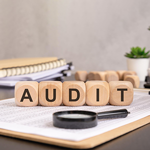 Audit & Assurance